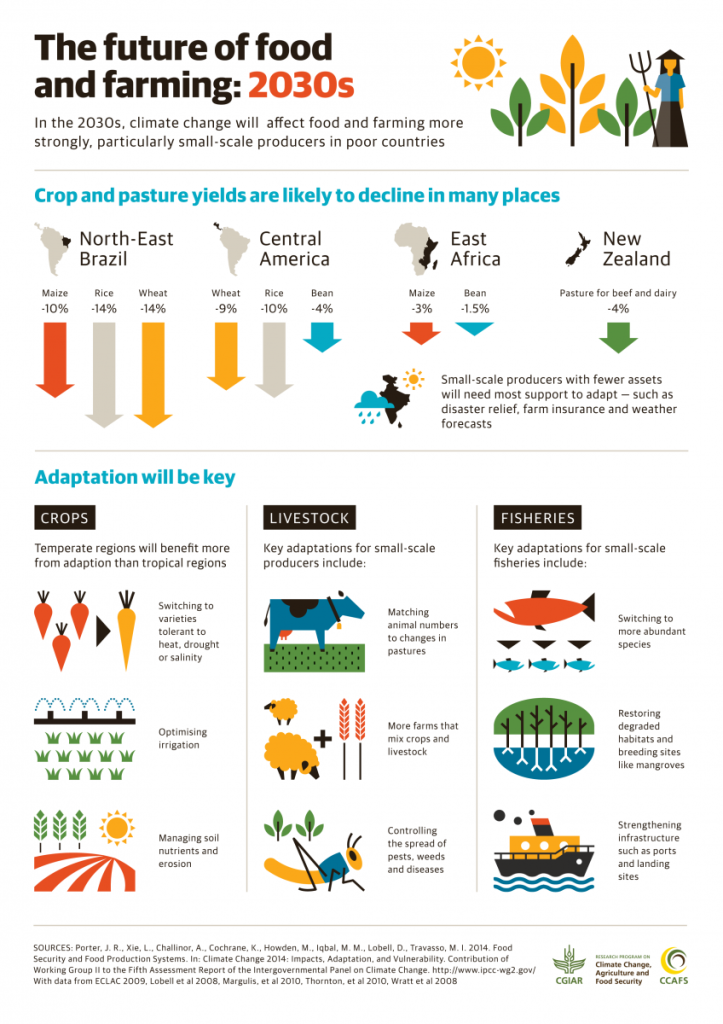 The Future of Food and Farming 2030s